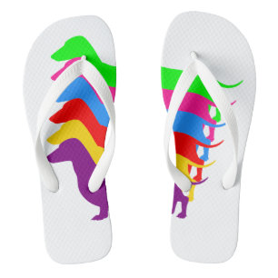 Regenbogen-Dackel drehen Reinfälle um Flip Flops