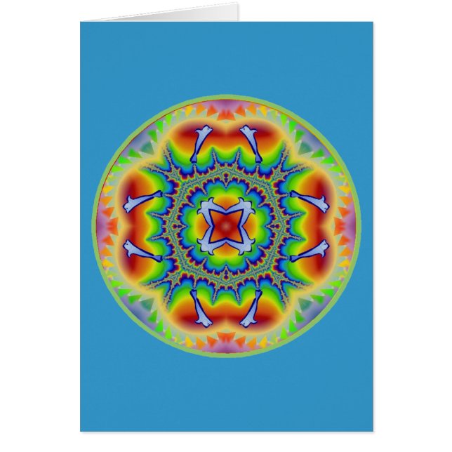 Regenbogen-Delphin Delite (Vorne)