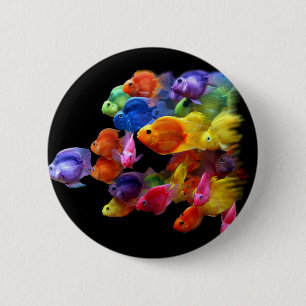 Regenbogen des Papageienfisches Button