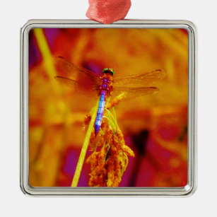 Regenbogen-Dragonfly auf Bernstein und Fuschia Ornament Aus Metall