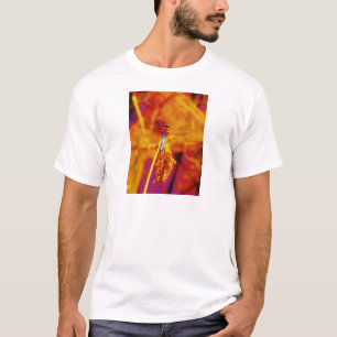 Regenbogen-Dragonfly auf Bernstein und Fuschia T-Shirt