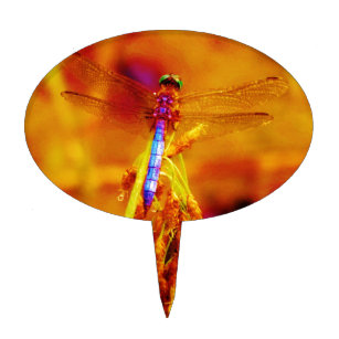 Regenbogen-Dragonfly auf Bernstein und Fuschia Tortenaufsätze