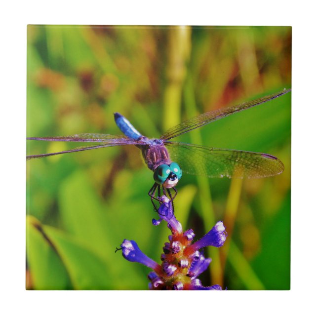 Regenbogen-Dragonfly und Blume Fliese (Vorderseite)