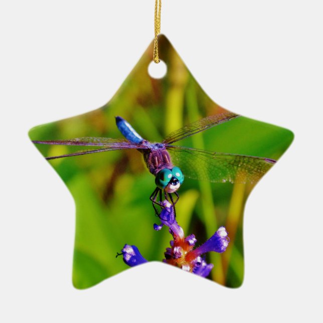 Regenbogen-Dragonfly und Blume Keramik Ornament (Vorne)