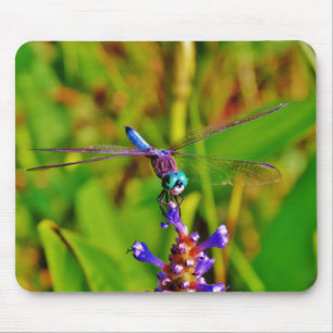 Regenbogen-Dragonfly und Blume Mousepad