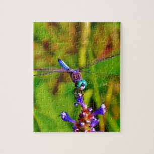 Regenbogen-Dragonfly und Blume Puzzle