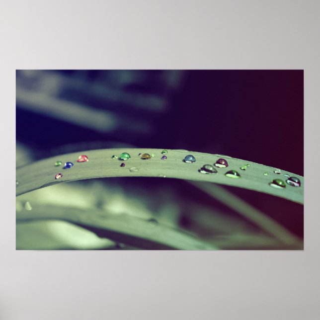 Regenbogen Drops Poster / Gerahmte Printwerbung (Vorne)