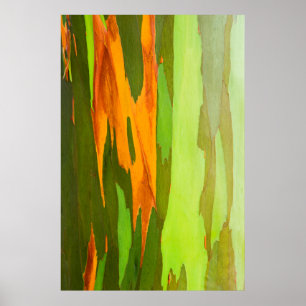 Regenbogen-Eukalyptus-Rinde, Hawaii Poster