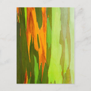 Regenbogen-Eukalyptus-Rinde, Hawaii Postkarte
