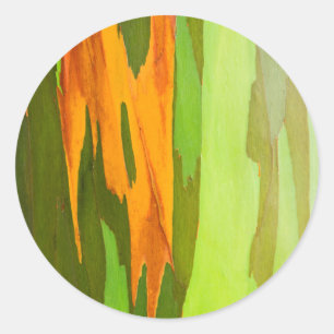 Regenbogen-Eukalyptus-Rinde, Hawaii Runder Aufkleber