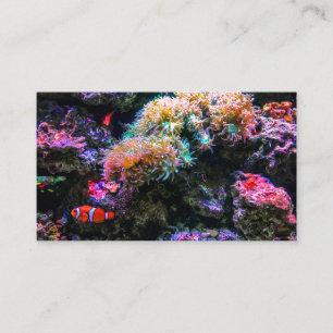 Regenbogen-farbene tropische Unterseekoralle Visitenkarte