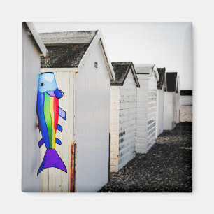 Regenbogen farbiger Drachen Magnet