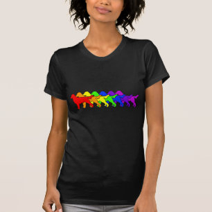 Regenbogen Flatcoat T-Shirt