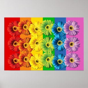 Regenbogen-Gänseblümchen Poster