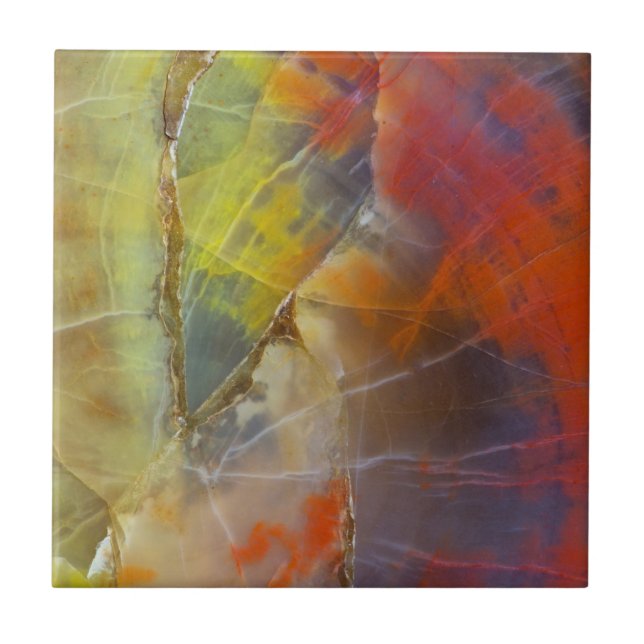 Regenbogen-gefärbtes versteinertes Holz Fliese (Vorderseite)