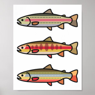 Regenbogen-Goldbachforellen-Anglergeschenk Poster