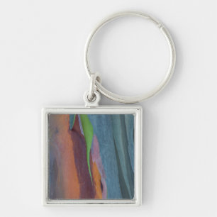 Regenbogen-Gummibaum abstrakt Schlüsselanhänger