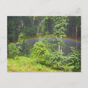 Regenbogen im Wald Postkarte