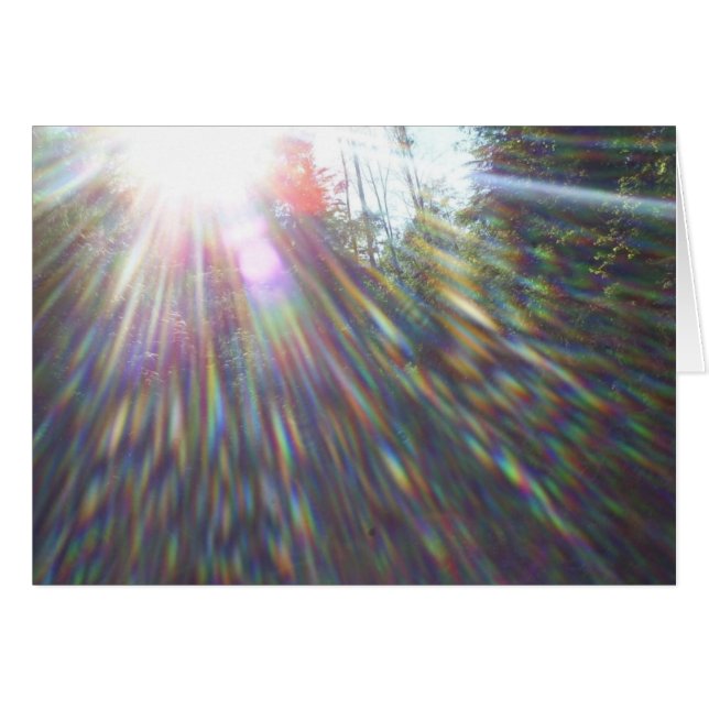 Regenbogen in Bäumen (Vorderseite (Horizontal))