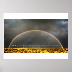 Regenbogen in der namibischen Wüste Poster