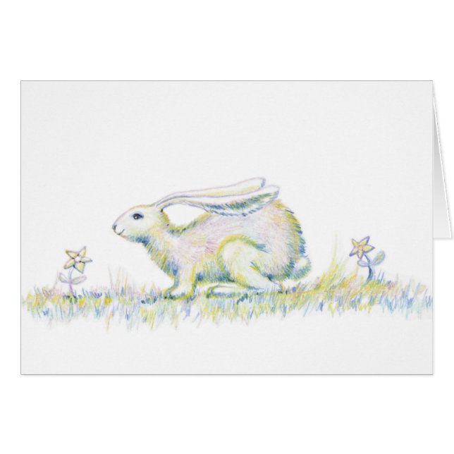 Regenbogen-Kaninchen (Vorderseite (Horizontal))