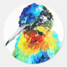 Regenbogen Kolibri