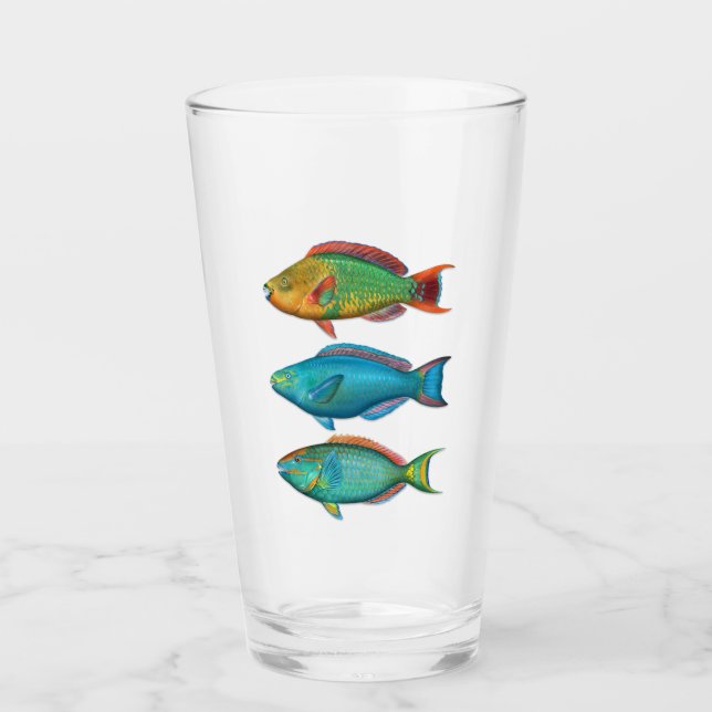 Regenbogen, Königin und Stoplight Parrotfischglas Glas (Vorderseite)