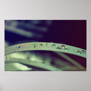 Regenbogen lässt Plakat/gerahmten Druck fallen Poster