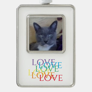 REGENBOGEN LIEBE Vertikaler gerahmter Foto-Schmuck Rahmen-Ornament Silber