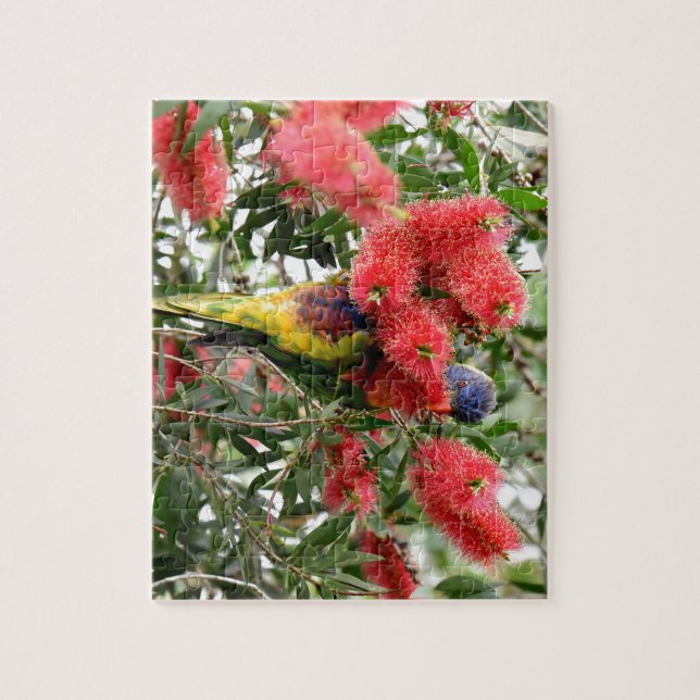REGENBOGEN LORIKEET LÄNDLICHES QUEENSLAND PUZZLE (Vertikal)