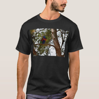 REGENBOGEN LORIKEET LÄNDLICHES QUEENSLAND T-Shirt