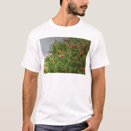 REGENBOGEN LORIKEET LÄNDLICHES QUEENSLAND T-Shirt
