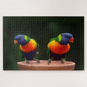 Regenbogen Lorikeet Papageien Puzzle