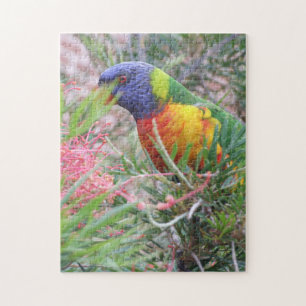 Regenbogen Lorikeet Puzzlespiel Puzzle