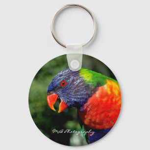 Regenbogen Lorikeet Schlüsselanhänger