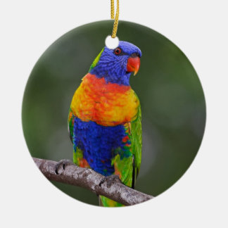 Regenbogen Lorikeet Trichoglossus Haematodus Keramikornament