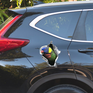 Regenbogen-Lorikeet-Vogel-Aufkleber – Exotischer P Aufkleber