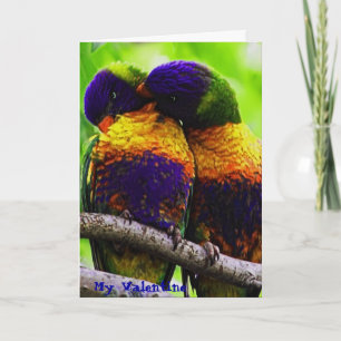 Regenbogen Lorikeets, mein Valentinsgruß Feiertagskarte