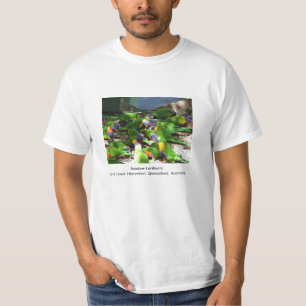 Regenbogen Lorikeets T-Shirt