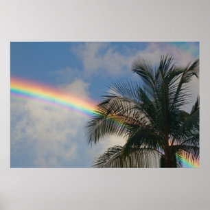 Regenbogen mit Palmenbaum Poster