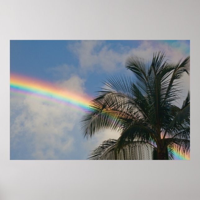 Regenbogen mit Palmenbaum Poster (Vorne)