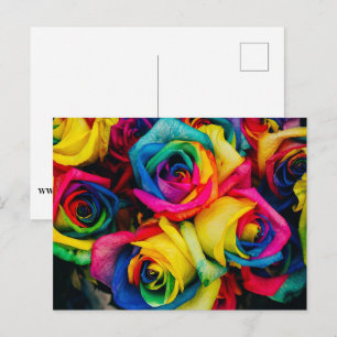 Regenbogen Postkarte