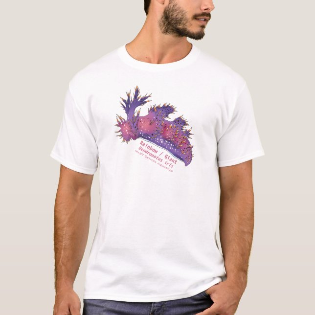 Regenbogen/Riesennudizweig-T - Shirt (Vorderseite)