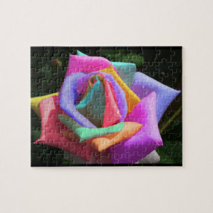 Regenbogen-Rose Puzzle