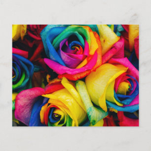 Regenbogen Rosen Blüten romantischer Frieden Freud