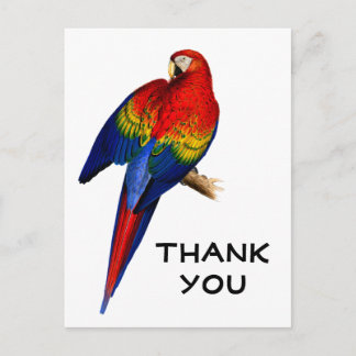 Regenbogen-Scharlachara-Regenwald-Vogel-Danke Postkarte
