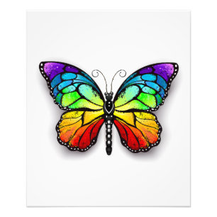 Regenbogen-Schmetterling Monarch Fotodruck