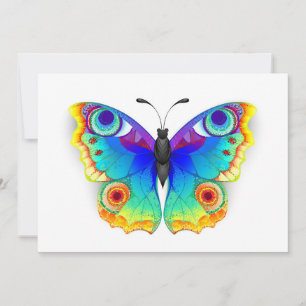 Regenbogen Schmetterling Pfauenauge Ankündigung