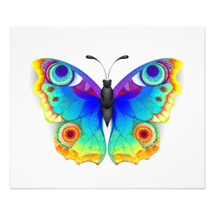 Regenbogen Schmetterling Pfauenauge Fotodruck