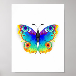 Regenbogen Schmetterling Pfauenauge Poster
